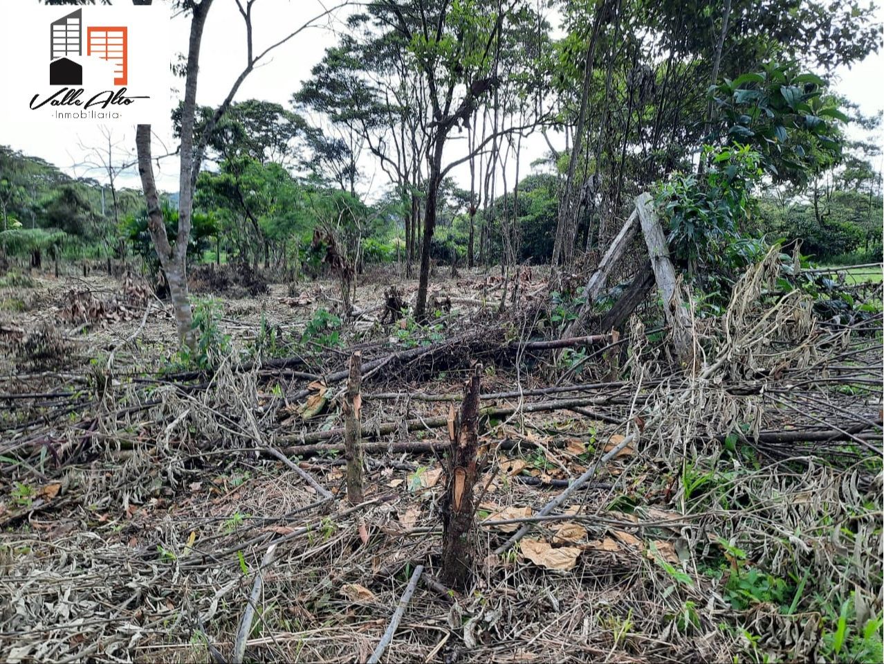 verinmuebles 12612 123 TERRENO AMPLIO Y FUNCIONAL EN JIMBITONO