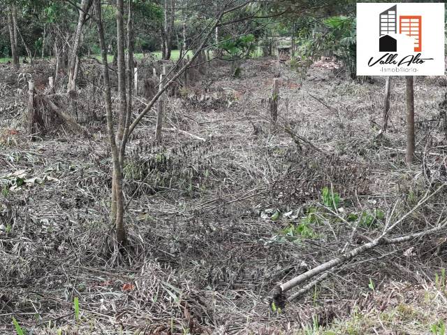 TERRENO AMPLIO Y FUNCIONAL EN JIMBITONO.