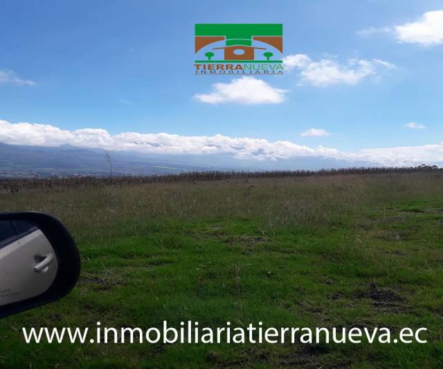 VENDO TERRENO DE 2.000m2 EN QUINCHUQUI - OTAVALO