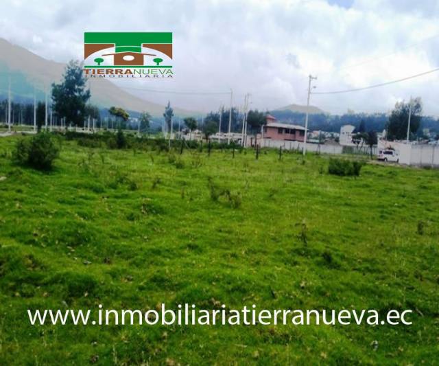 VENDO LOTE DE TERRENO DE 299M2 ESQUINERO EN LA URB. SANTA CECILIA – CAYAMBE