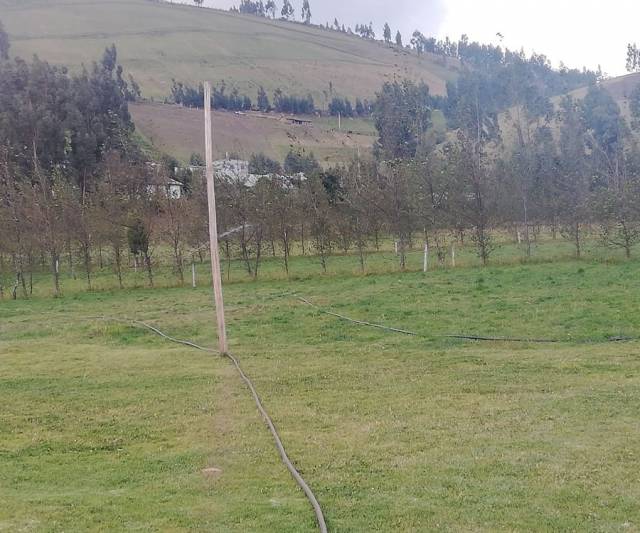 finca ganadera de 12 hectareas en - cayambe