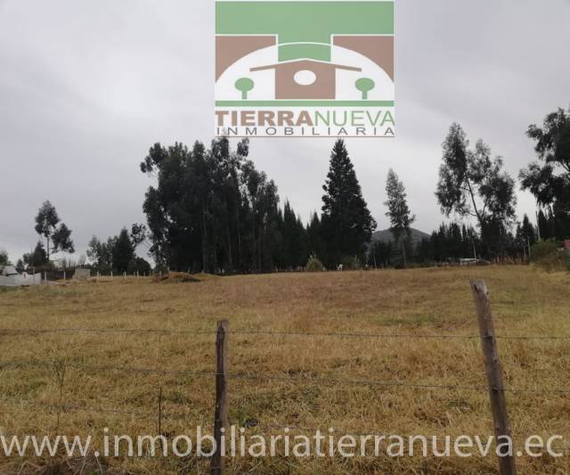 EN VENTA TERRENO DE 3.128M2 EN CHAUPILOMA -TABACUNDO