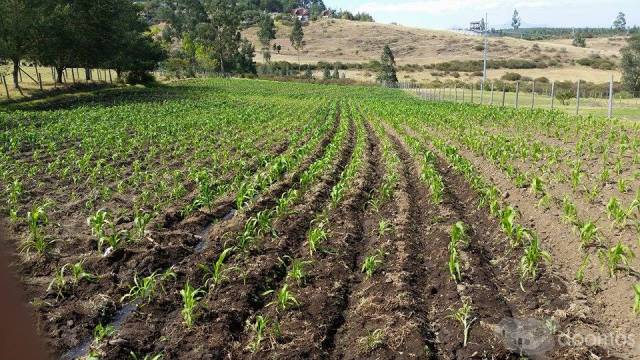 Venta de terreno