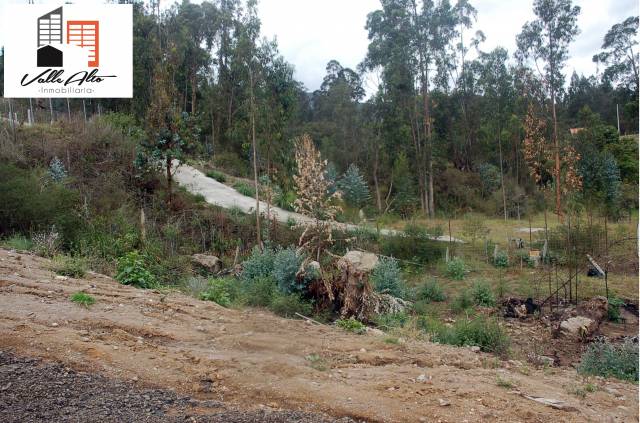 TERRENO AMPLIO Y FUNCIONAL EN CHALLUABAMBA