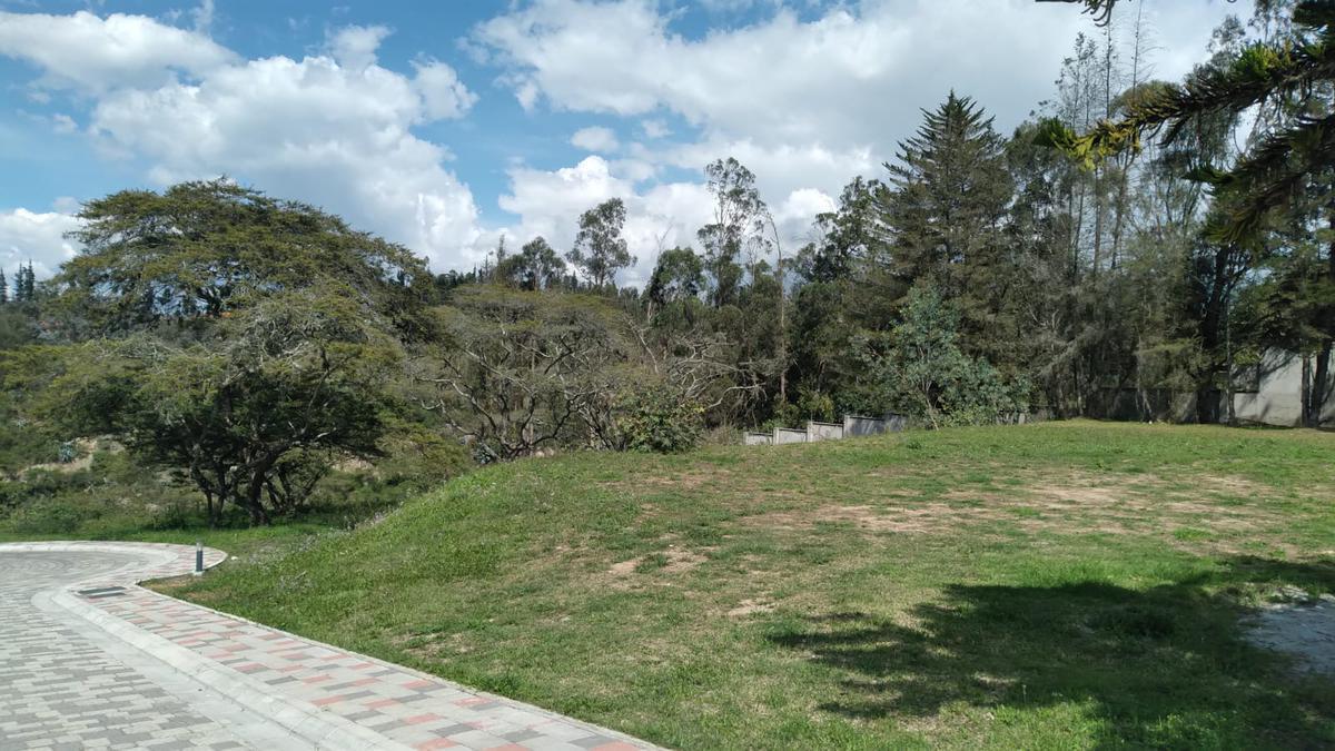 Terreno de venta Puembo