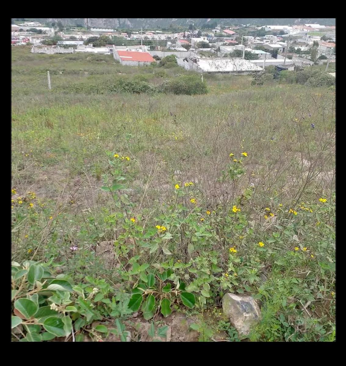 Terreno en Venta en Huertos Familiares