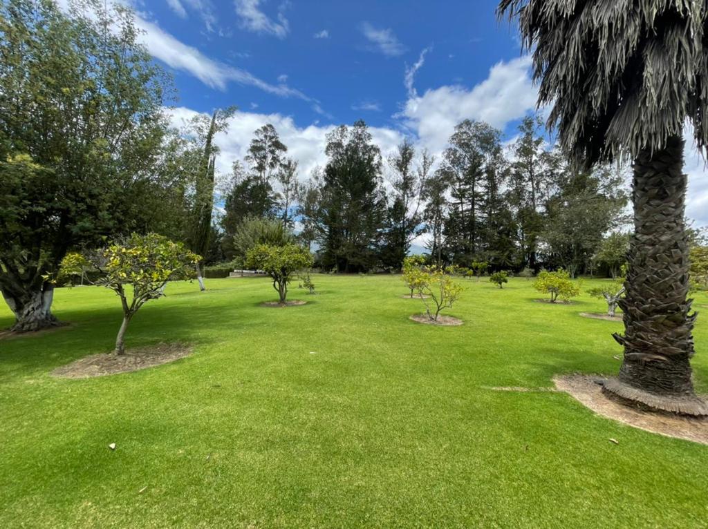 De venta hermosa quinta  - Puembo