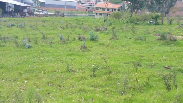 Terreno en venta 5.724m2 sector industrial o residencial de Ricaurte