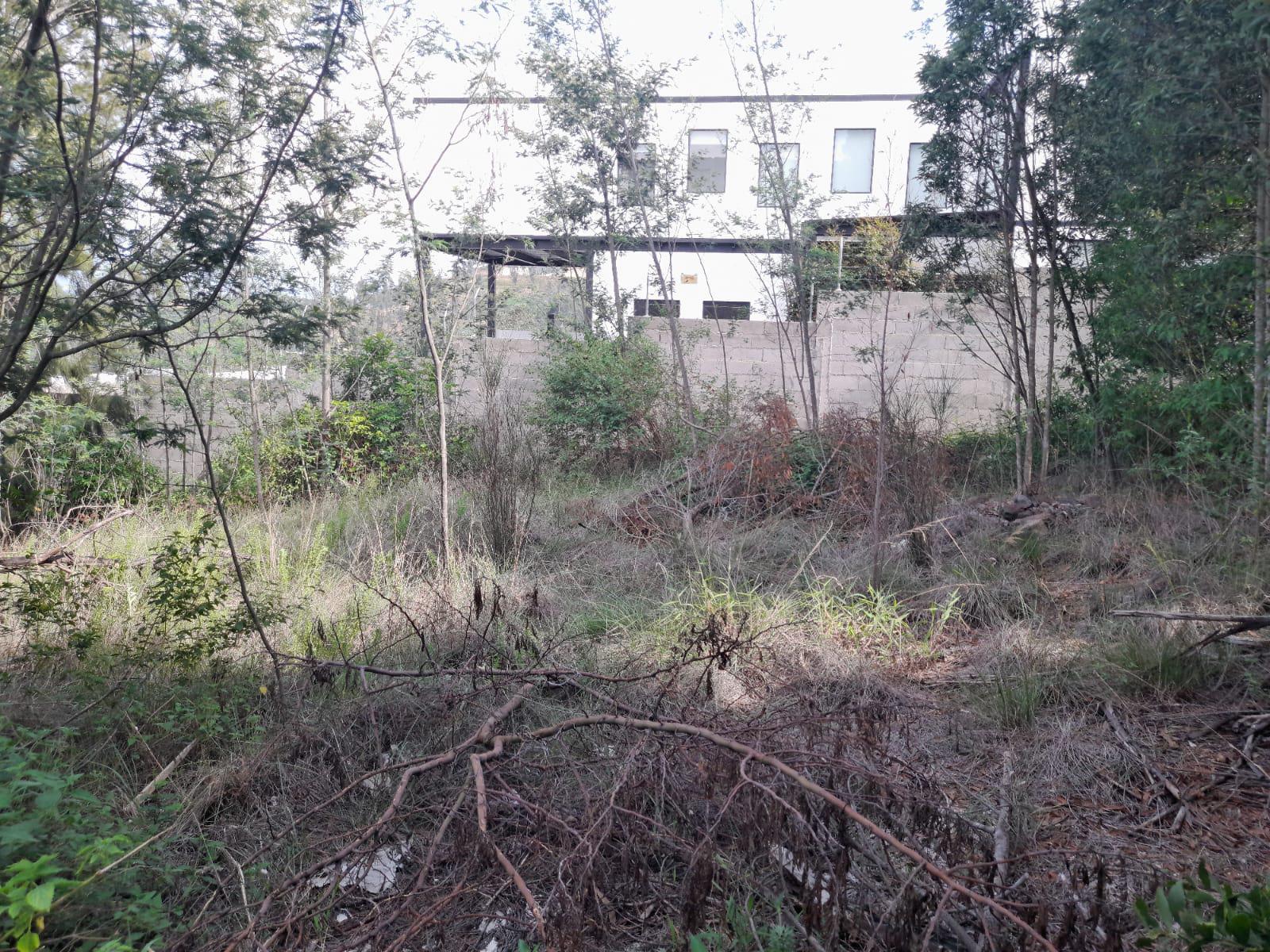 Terreno en Norte de Quito