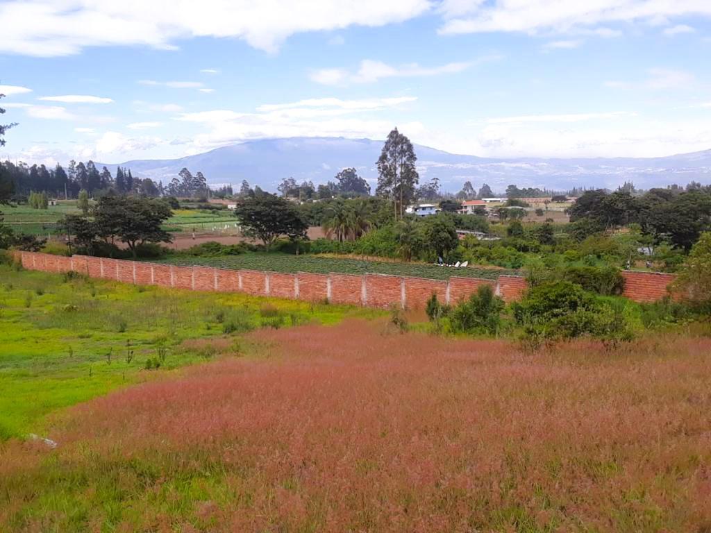 Venta Terreno 4000 m en Yaruquí, con todos los servicios.