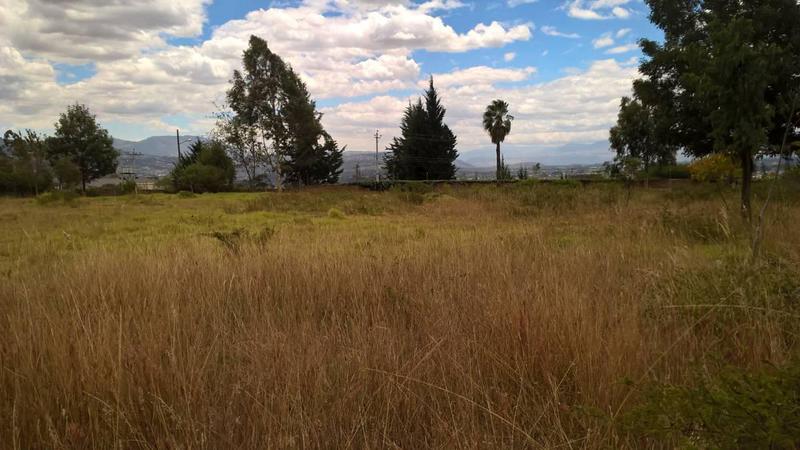 Terreno 2500 m Tumbaco calle la Cerámica urbanización de primera a $180 el m2