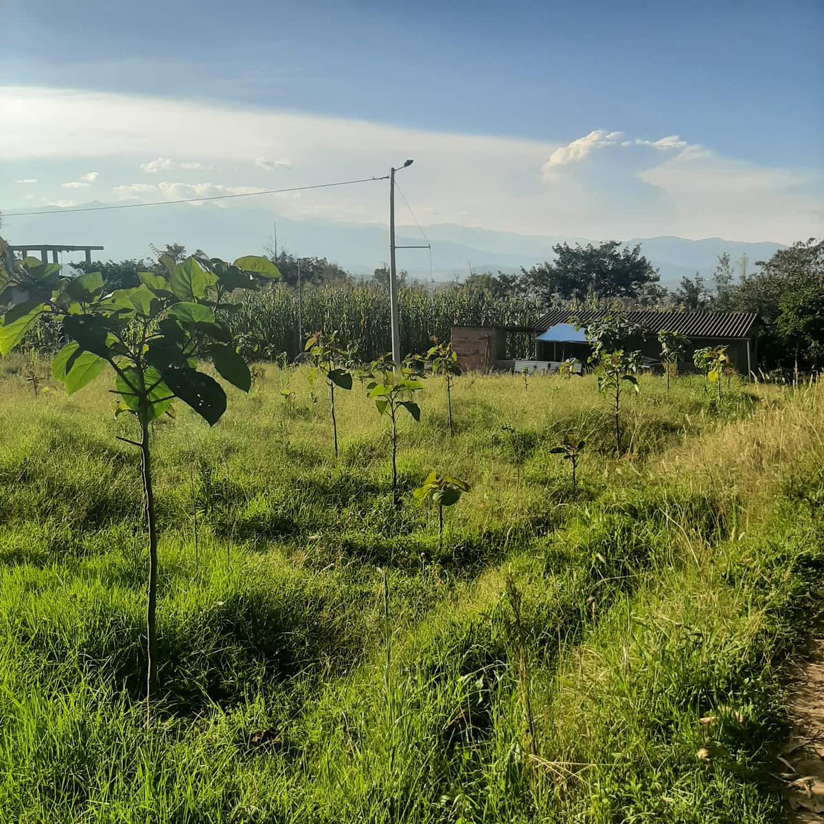 Terreno en  Venta en San Cristobal de Caranqui