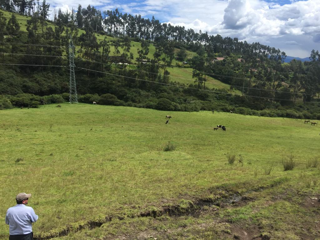 Terreno en Pifo cerca a Yaruqui, sector Oyambarillo