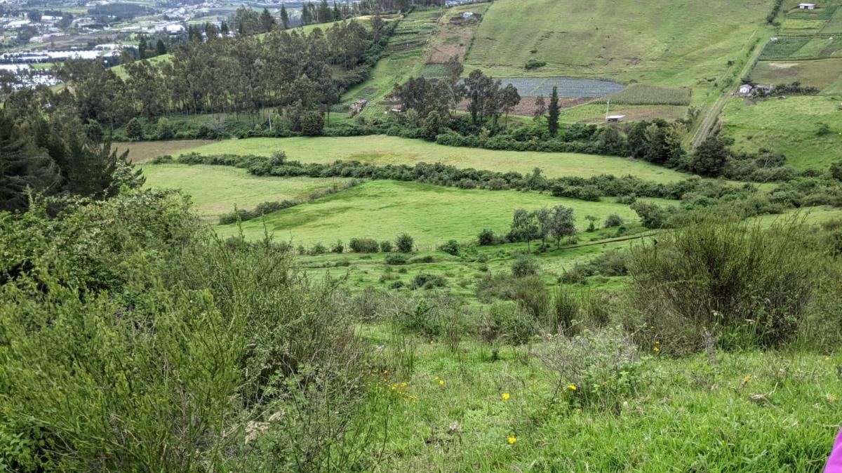 Terreno de venta en Pifo