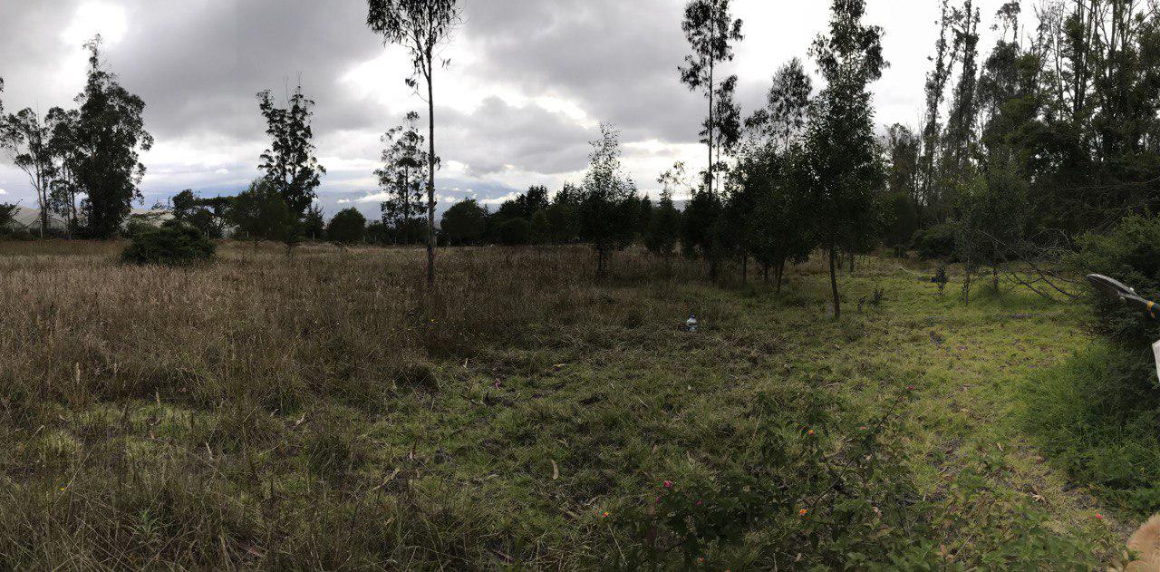 Terreno en venta al norte de Guayllabamba