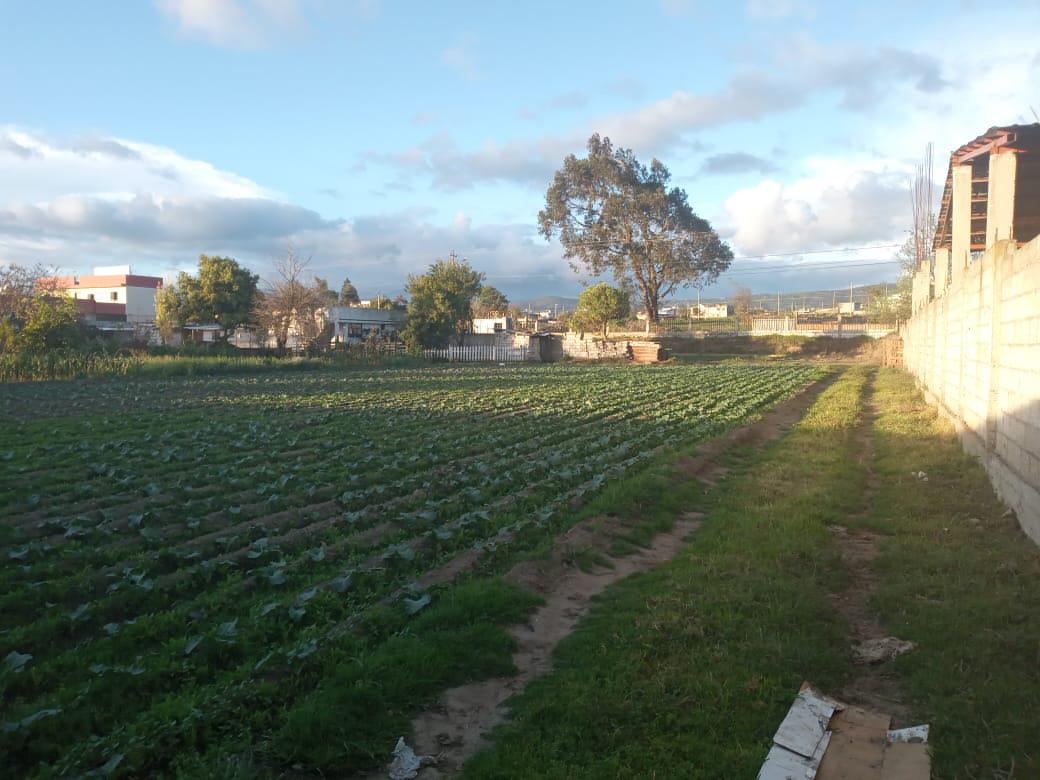 Terreno - Norte de Ambato