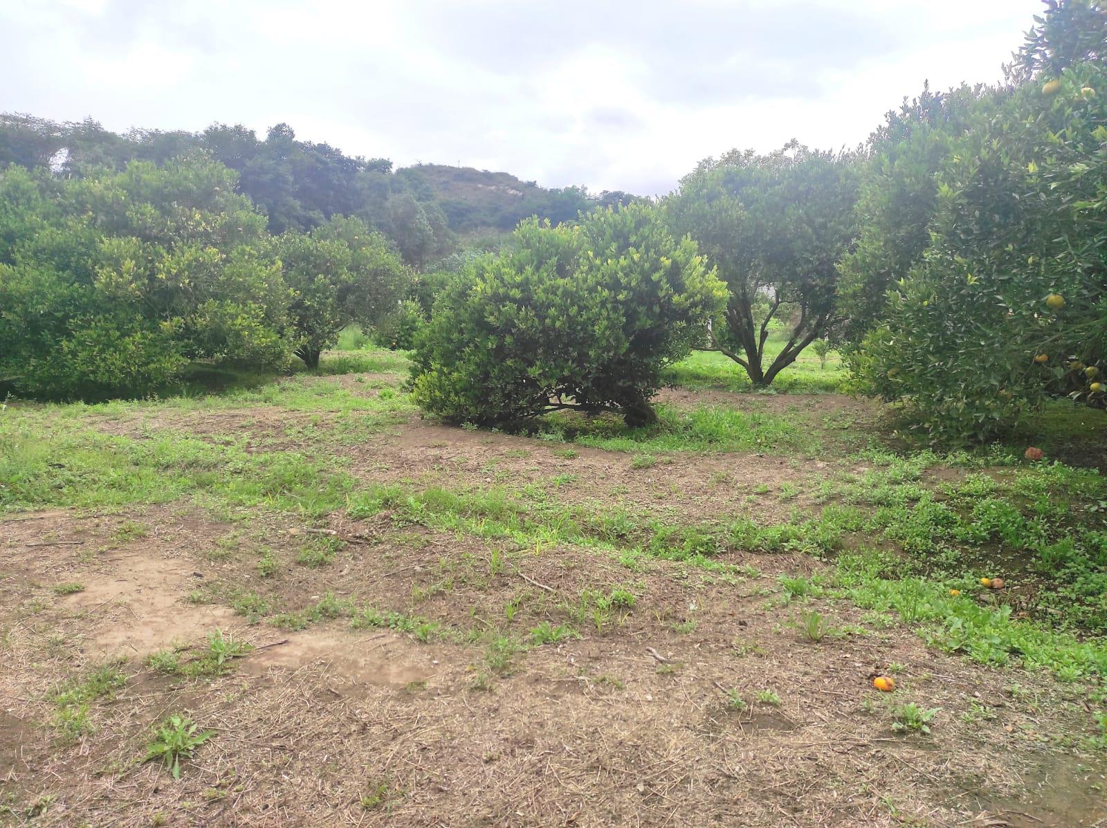 Terreno en  Guayllabamba barrio Villacis