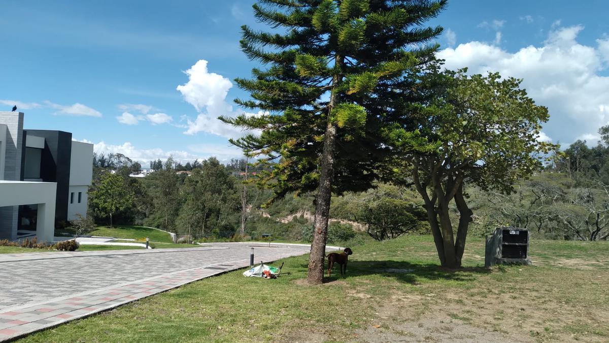 Muy buen terreno ubicado en Urbanización Nueva en Puembo, Exclusividad