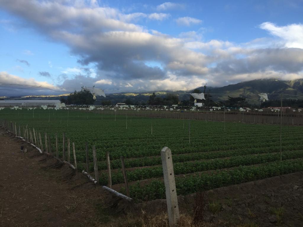 Terreno de venta en Tabaela, ideal para galpones y bodegas