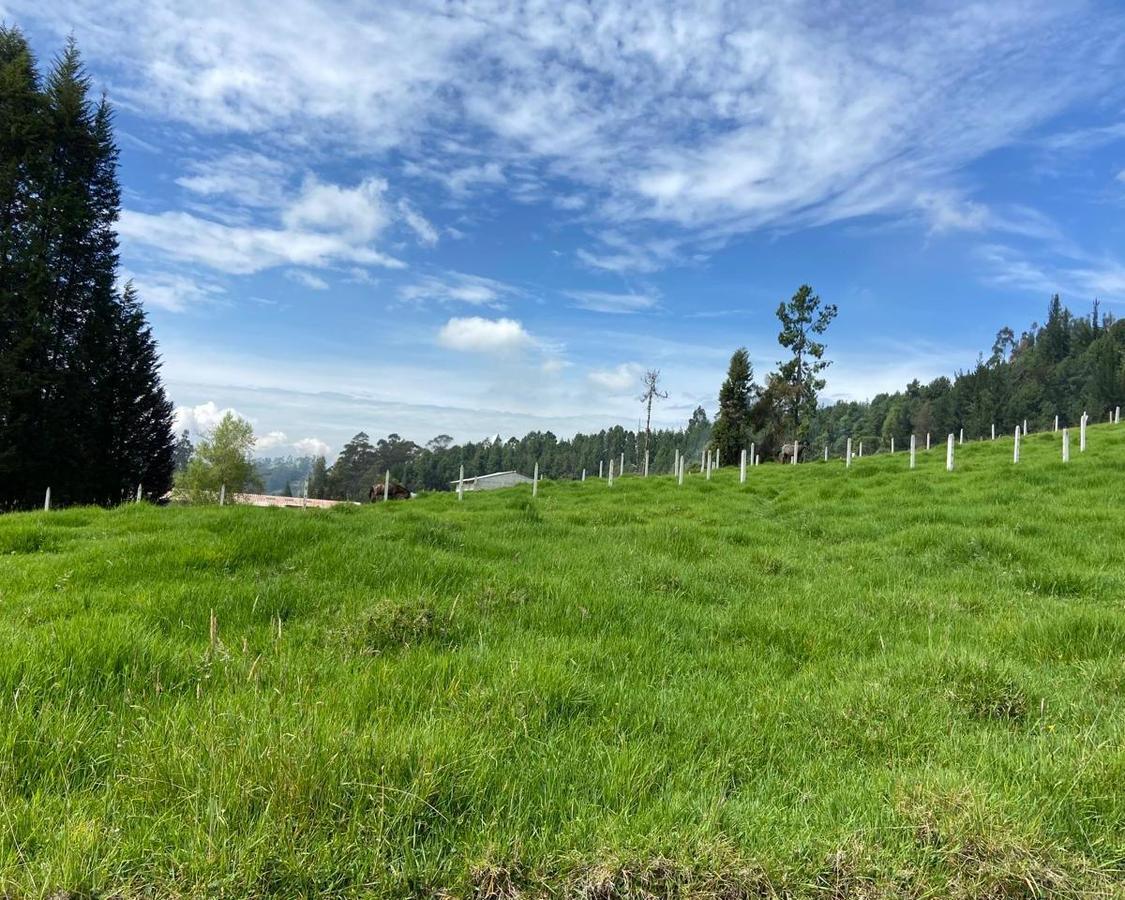 HERMOSO TERRENO EN SAN JOAQUIN