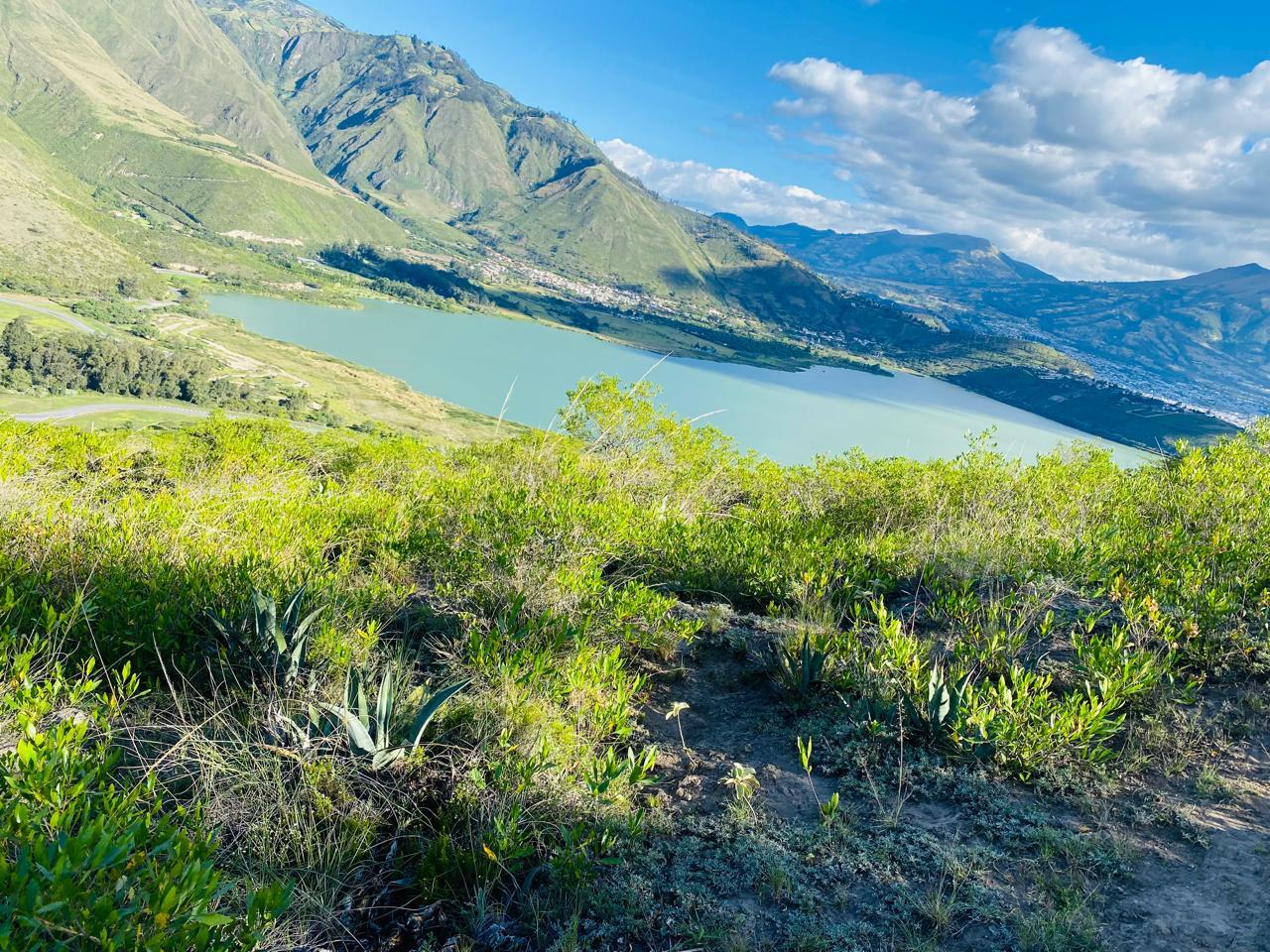 Venta Terreno de Oportunidad de 12 mil metros en Priorato-Ibarra Vista Yahuarcocha