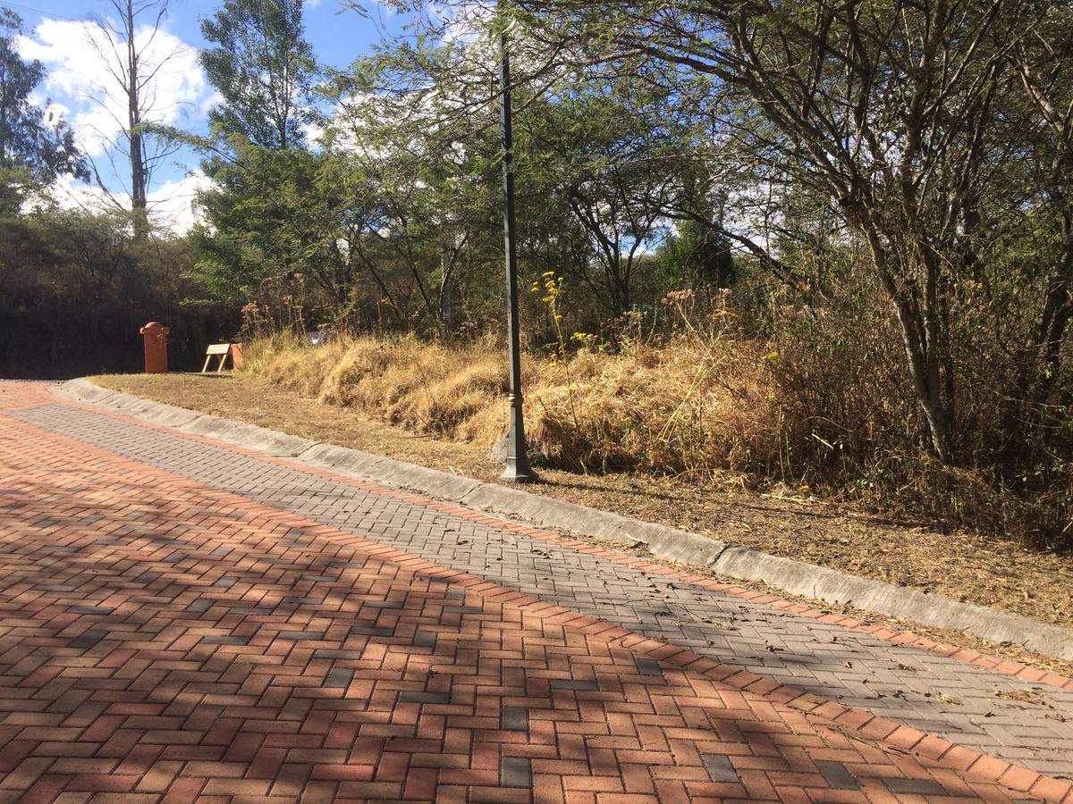 Espectacular terreno ubicado dentro de Viña del Río