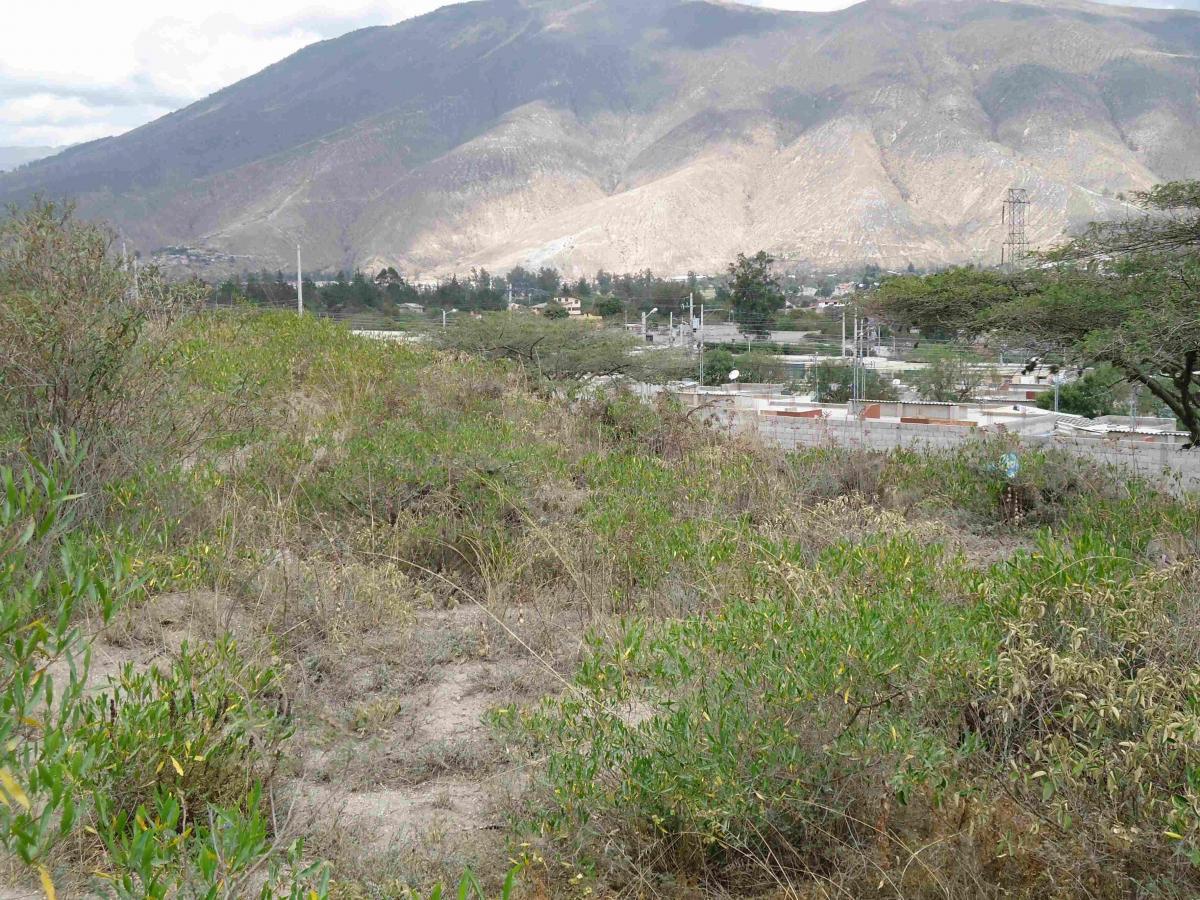 VENDO TERRENO DE 2300 M2 EN LA MITAD DEL MUNDO COS TOTAL 105