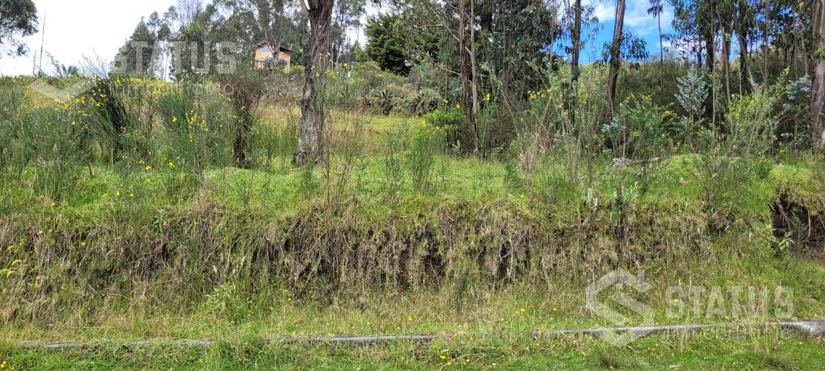 Terreno de 2586 m de venta sector La Macarena - Conocoto $152.000 ¡Ideal para constructores!