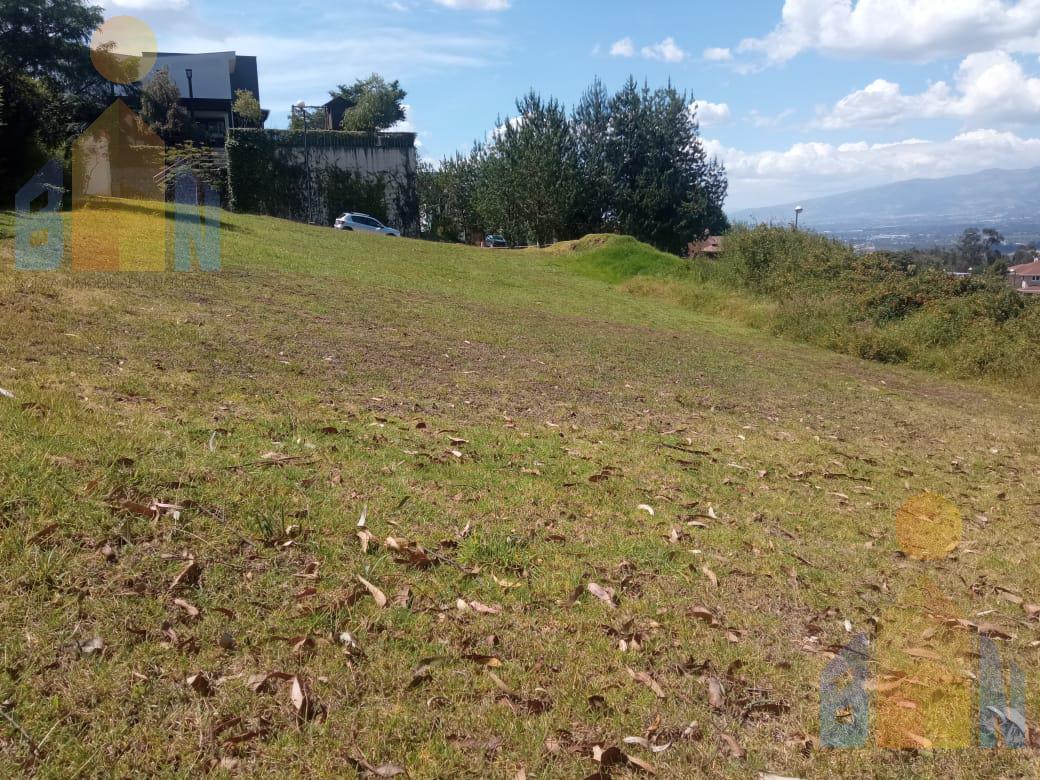 Terreno en  Cumbaya sector colegio Terranova, Urb. de lujo