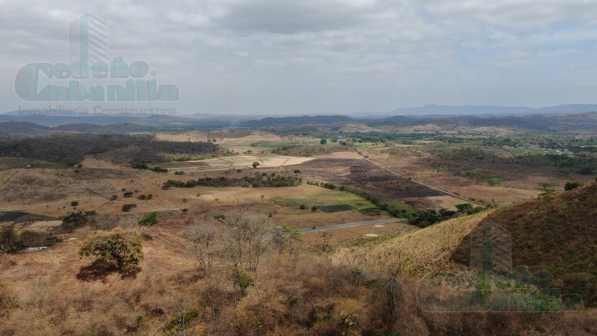 VENTA DE PROPIEDAD AGRICOLA SECTOR PETRILLO