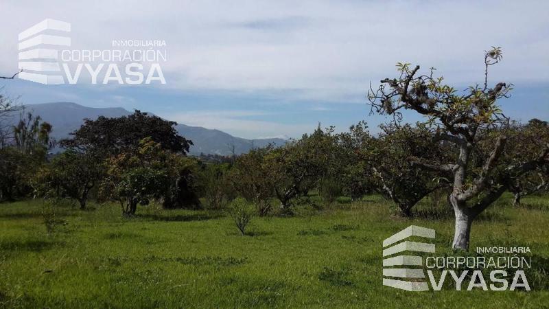 Tumbaco - Collaqui, Hermoso Terreno Plano en Venta, 7.000 m2