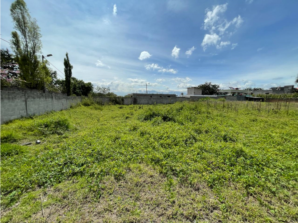 TERRENO EN VENTA - 695 M2 - GUALO - LLANO CHICO -QUITO (SZ)