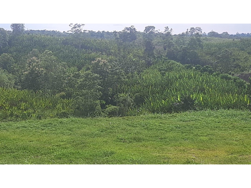 La Concordia, Terreno, 1.5 hectáreas, semi plano, frente 200 m