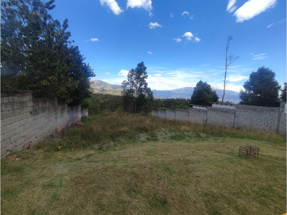 Pifo, Terreno en venta, 503 m2, 2 pisos, frente total 17 m, cos 20