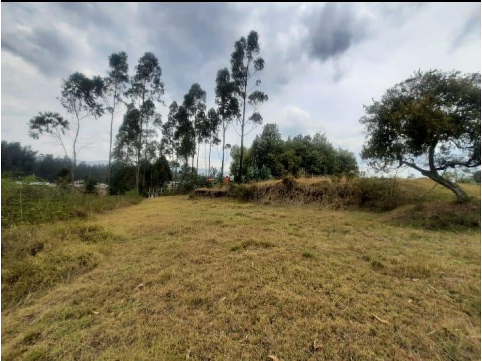 OPORTUNIDAD Terreno 3,500 m2, Alangasi $115,000 Cod 7147707