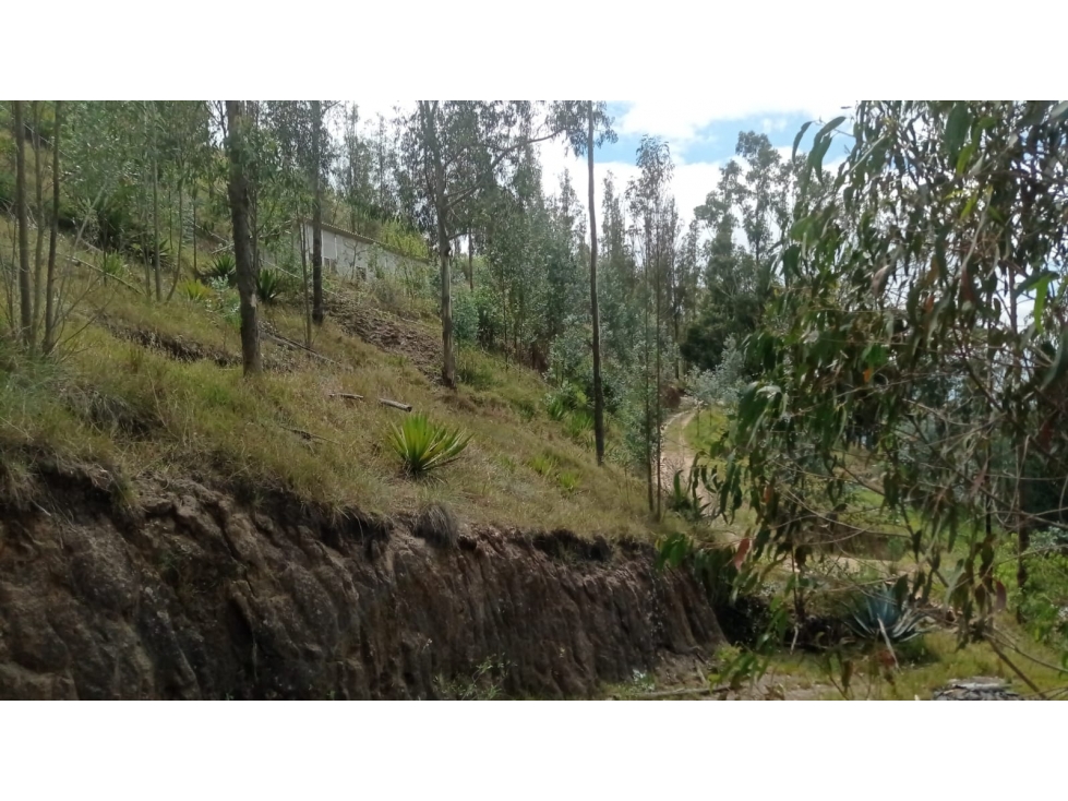 175mil Venta Terreno, Tumbaco, Ruta Viva, Ilalo en Comuna,$33/m2