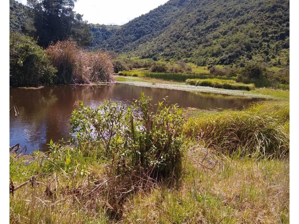 HACIENDA EN VENTA EN OTAVALO