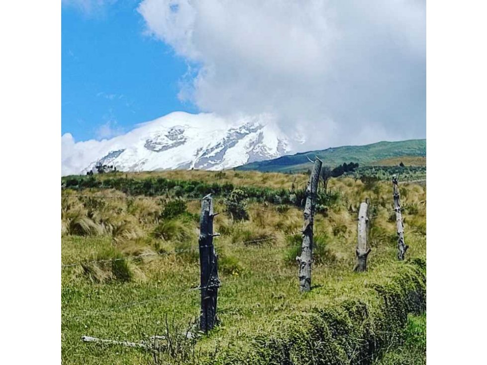 5 Hectáreas en venta Olmedo- Cayambe