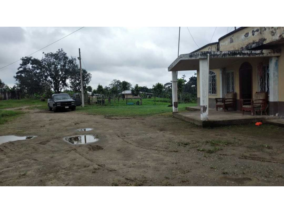 Se vende Finca de 3 hectáreas en Santo Domingo  con casa